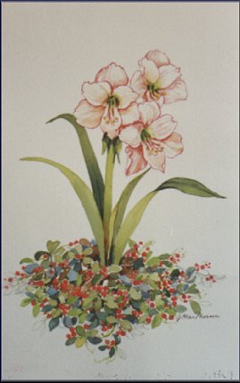 jpic40.jpg (23295 bytes)