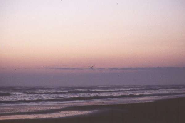 Picture Number Two of Sunrise at Galveston Beach
