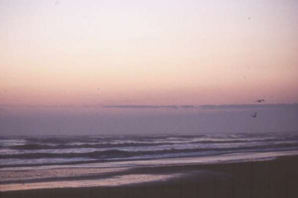 Sunrise On Galveston Beach With Shadows on Beach