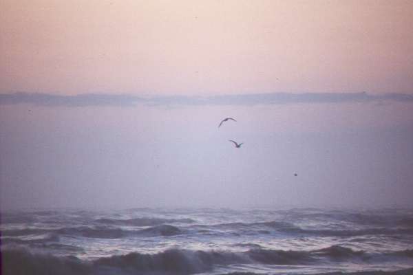Picture of the Gulf of Mexico at Sunrise on Galveston Beach