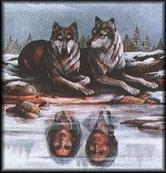 Image of lifema~1.jpg