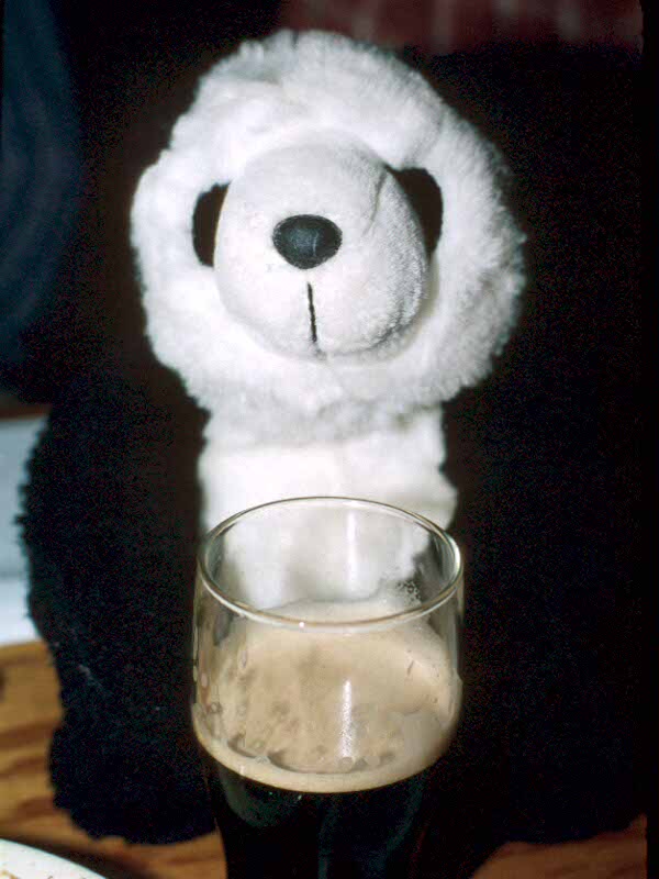 DanielPanda poses with a Guinness