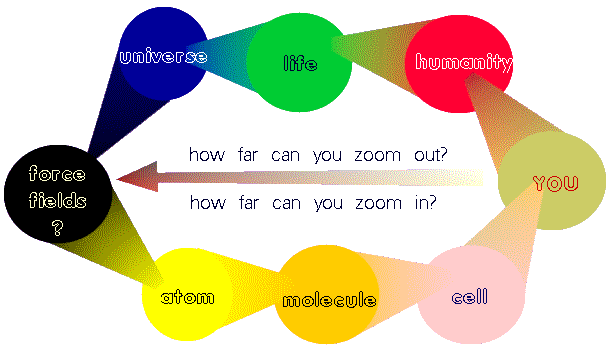 picture shows the inter-relationship between all entities in the universe