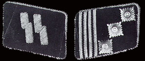 Collar patches of an SS-Hauptstumfhrer.