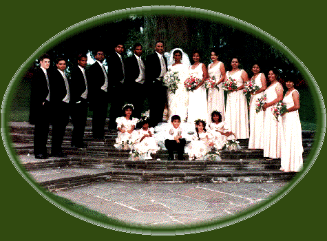 The Wedding Party