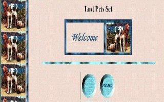 Lost Pets Set