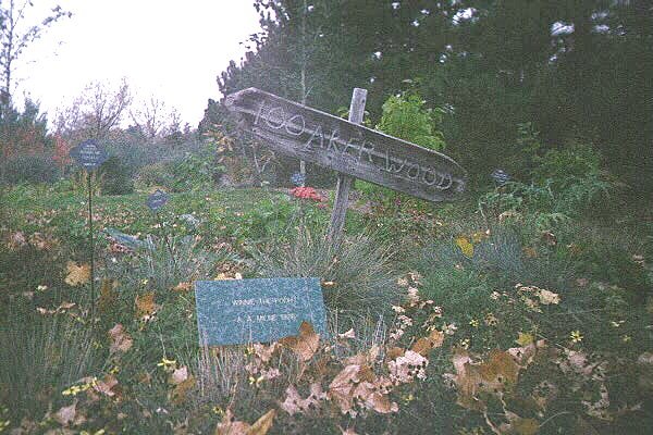 garden3.jpg