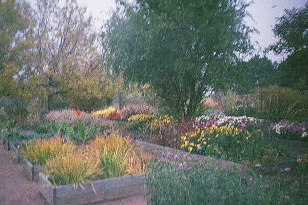 garden6.jpg