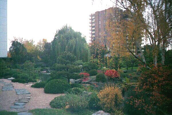 garden8.jpg