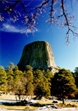 Devil's Tower