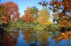 Marsteller's Pond