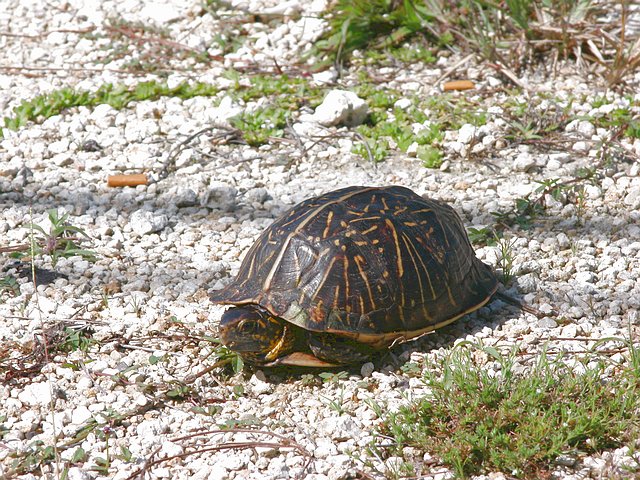 <b>j���, sch�n