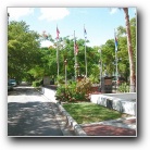 [Click to enlarge image]