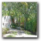 [Click to enlarge image]