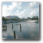 [Click to enlarge image]