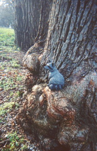 Brent on a tree trunk at the Anderson River Park