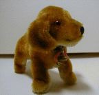 image/_dach02.jpg, 3.7K