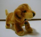 image/_dach03.jpg, 3.6K