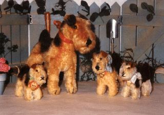 image/_dog012.jpg, 17.1K