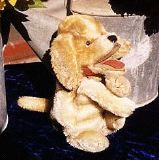 image/_beagl01.jpg, 7.9K