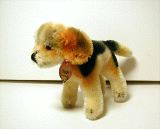 image/_beagl02.jpg, 3.9K