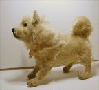 image/_chow01.jpg, 3.8K