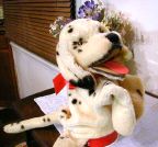 image/_dally02.jpg, 6.2K