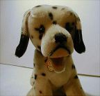 image/_dally05.jpg, 4.3K