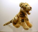 image/_bengal1.jpg, 4.2K