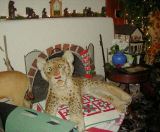 image/_leopard01jpg.jpg, 6.6K