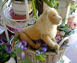 image/_lowe9.jpg, 8.6K