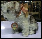 image/_molly01.jpg, 5.6K