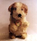 image/_molly05.jpg, 4K