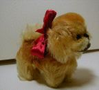 image/_peky32.jpg, 3.7K