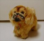 image/_peky8.jpg, 3.7K