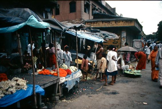 image/kalighat_market.jpg, 49.5K