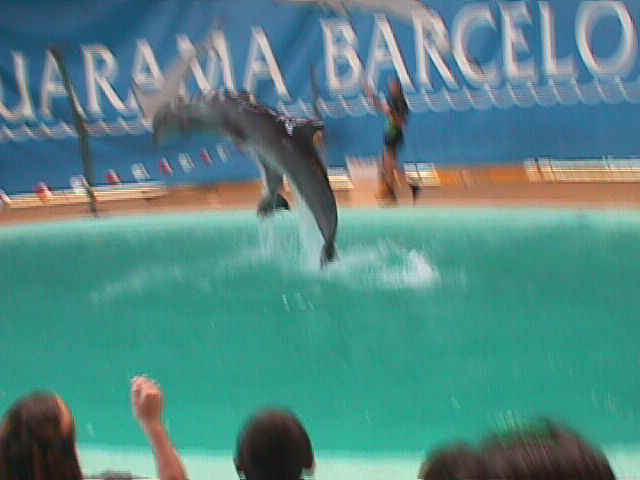 delfines