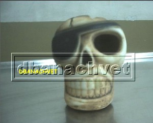 cabeza calavera.JPG