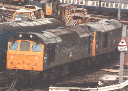 25311 and 31131 at Bedford