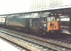 50043 at Reading