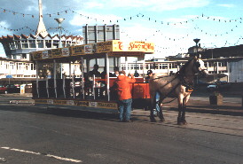 Horse tram car 35 and 'Andrew' at Sea Terminal