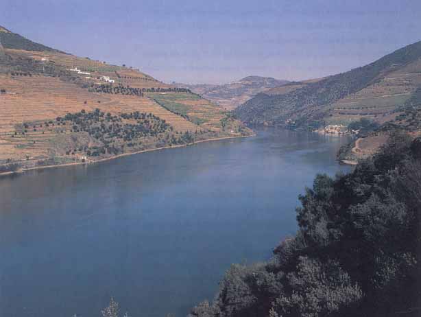 O Douro