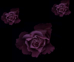 Graphic image: rose.jpg