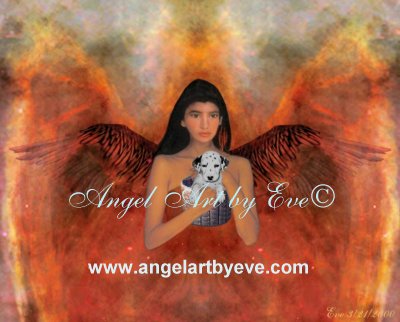 angel pic