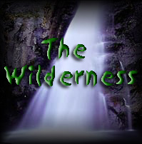 The Wilderness