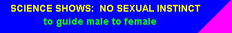 Free pro-gay banner 03.gif