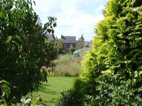 View of the house from the orchard