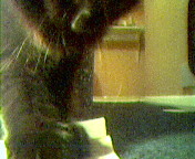 Maggie playing with paper III