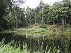 Pond at Savegre Mountain