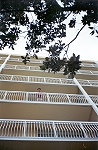 DeeDee on the balcony watching us on the Teeter Totter